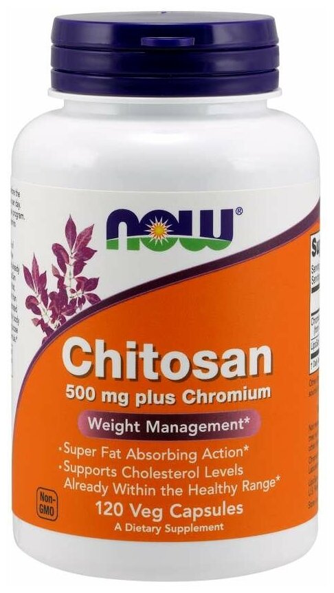 Now Chitosan Plus 500mg 120 vcaps