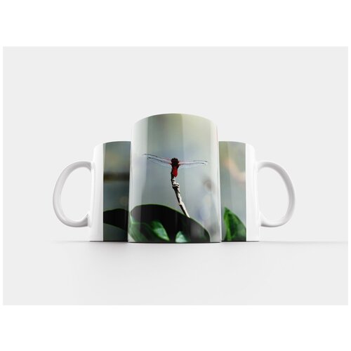 фото Кружка "стрекоза палку, стрекоза, насекомое" 320 мл lotsprints