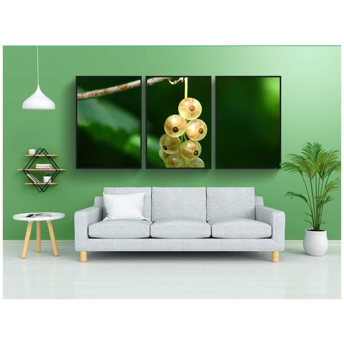 фото Набор модулных постеров для интерьера "смородиной, ягоды, незрелый" 60x90 см. в тубусе, без рамки lotsprints