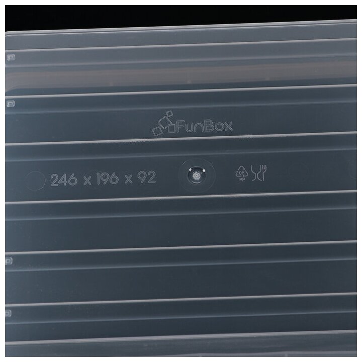FunBox Контейнер для хранения с крышкой Basic, 3 л, 25×20×9 см, цвет прозрачный - фотография № 3