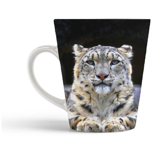 фото Кружка-латте coolpodarok снежный барс