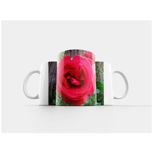 фото Кружка "заход солнца, солнце, природа" 320 мл lotsprints