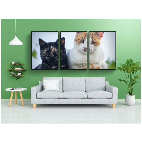 фото Набор модулных постеров для интерьера "кошки, домашние питомцы, животные" 60x90 см. в тубусе, без рамки lotsprints