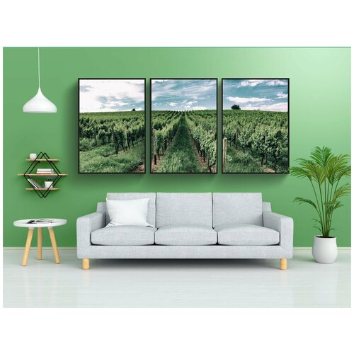 фото Набор модулных постеров для интерьера "виноградник, лоза, виноградная лоза" 60x90 см. в тубусе, без рамки lotsprints
