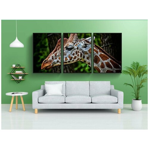 фото Набор модулных постеров для интерьера "жирафа, зоопарк, животное" 60x90 см. в тубусе, без рамки lotsprints