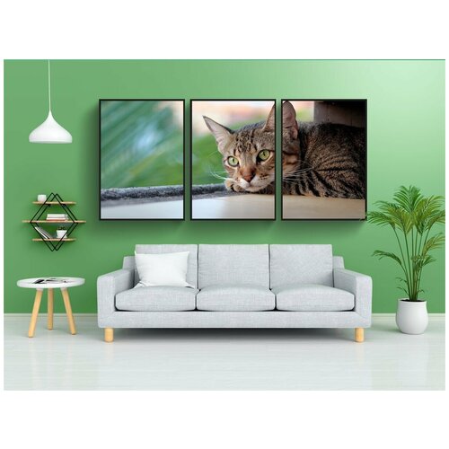 фото Набор модулных постеров для интерьера "кошка, китти, домашний питомец" 60x90 см. в тубусе, без рамки lotsprints