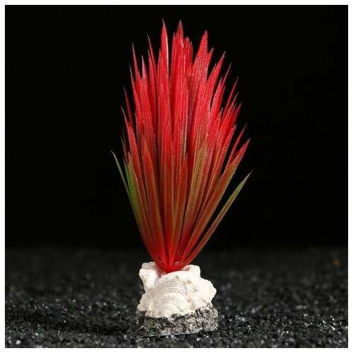 Растение аквариумное Пижон Аква искусственное, на подставке, с ракушкой, 7х4,5х13,5 см, красное