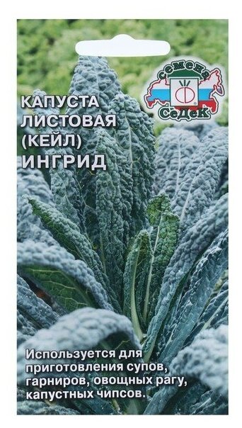 Капуста листовая 