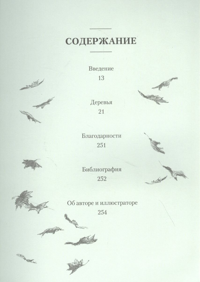 Деревья: Как жизни человека и дерева переплетены друг с другом - фото №8