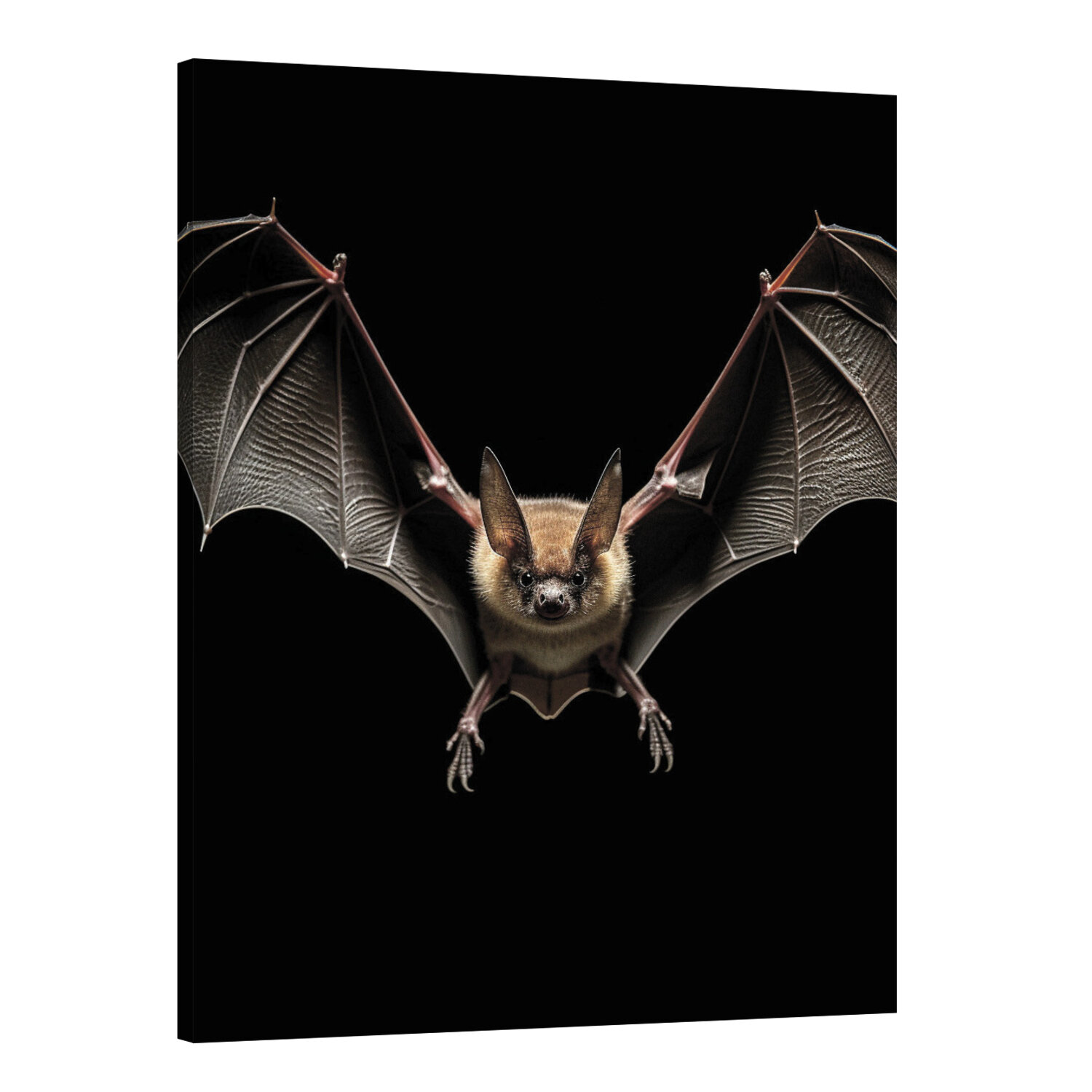 Интерьерная картина 50х70 "Полет Летучей мыши"