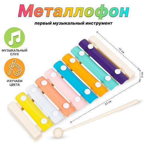 Детский музыкальный инструмент Металлофон (227-1)
