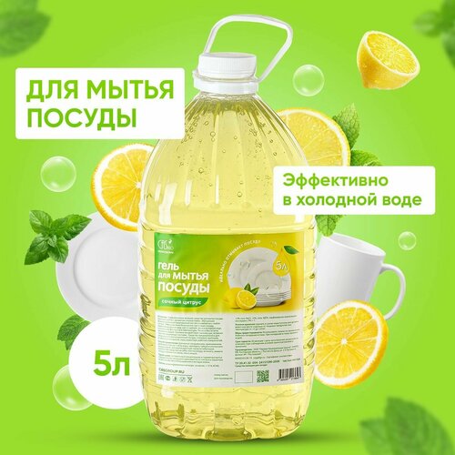 Средство для мытья посуды CasPro Сочный цитрус 5 л