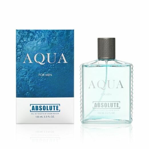 Туалетная вода Today Parfum Absolut AQUA 100ml для мужчин
