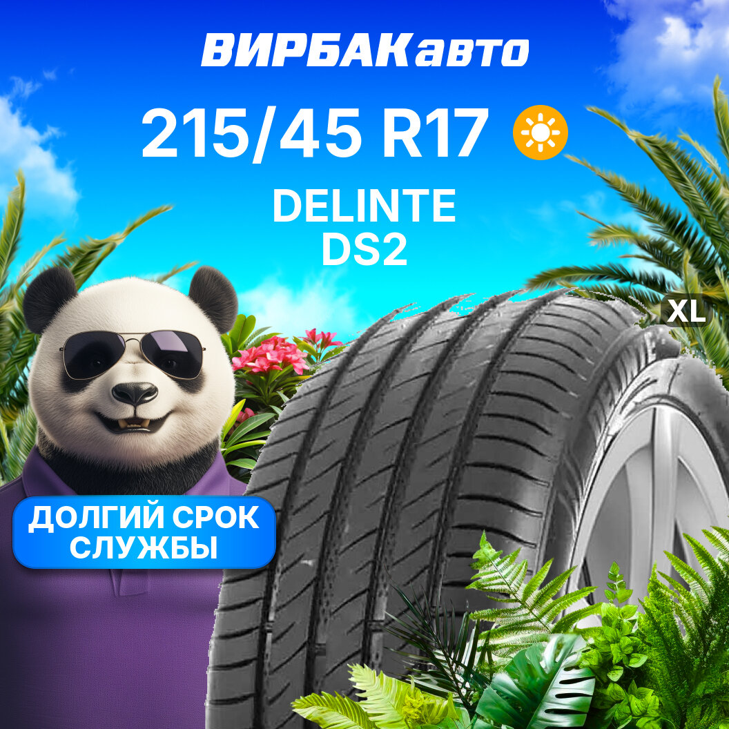 Летние шины DELINTE DS2 215/45R17 91W XL