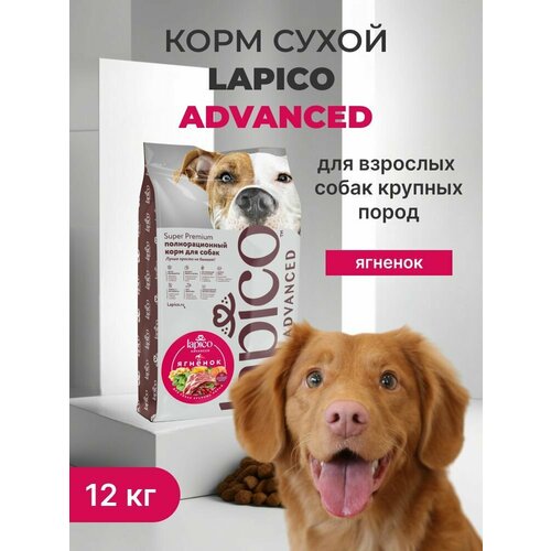 Корм сухой низкогликемический "Lapico" Advanced (Лапико), для собак крупных пород, ягненок, 12кг