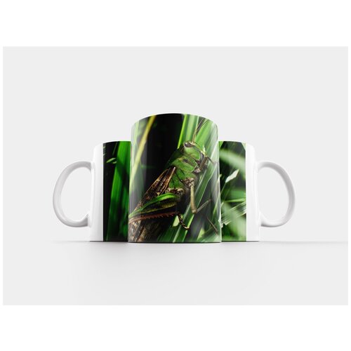 фото Кружка "япония, природные, насекомое" 320 мл lotsprints