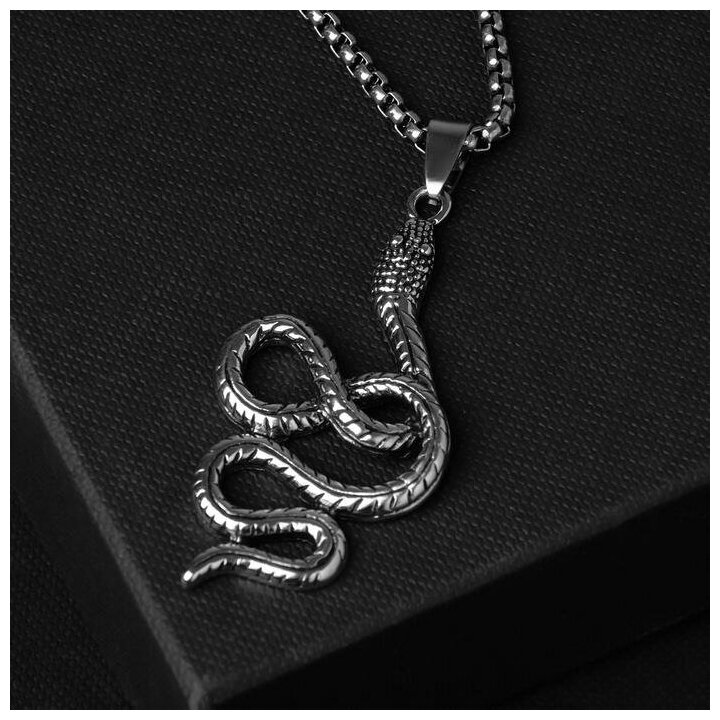 Кулон унисекс "Змея" вьющаяся цвет чернёное серебро 60 см