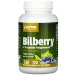 Jarrow Formulas Bilberry + Grapeskin Polyphenols (комплекс полифенолов из черники и кожуры винограда) 280 мг 120 вегетарианских капсул - изображение