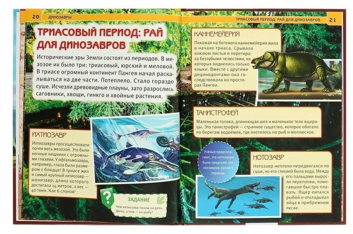 Динозавры (Служаев Виктор (иллюстратор), Афанасьева И. (редактор), Хомякова Кристина) - фото №7