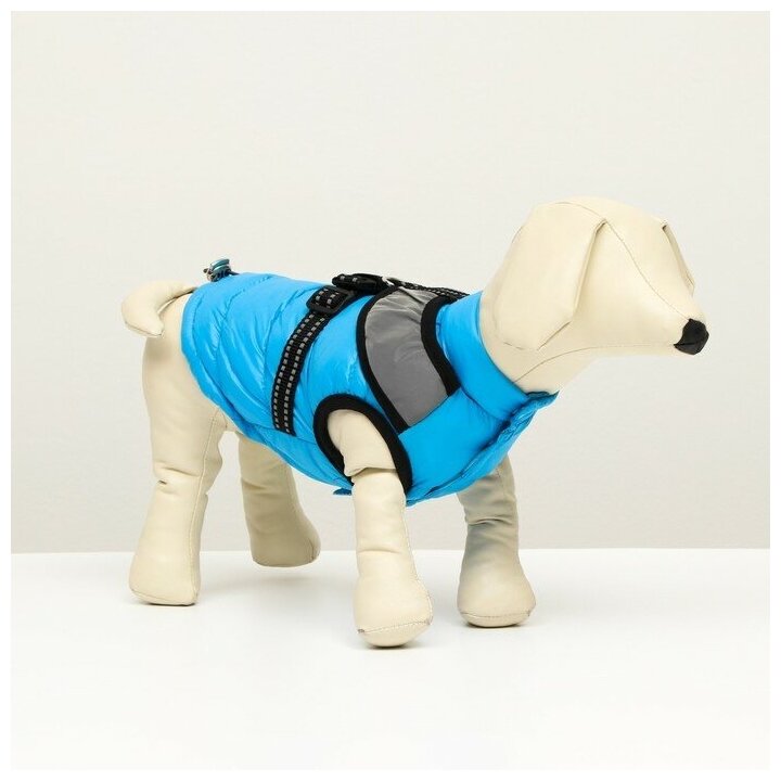 Куртка для собак Sima-land со светоотражающей шлейкой, размер 18, голубая (6968400)