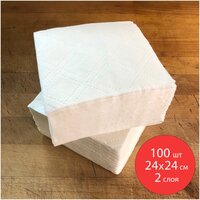 Лучшие Двухслойные бумажные салфетки 24 х 24 см