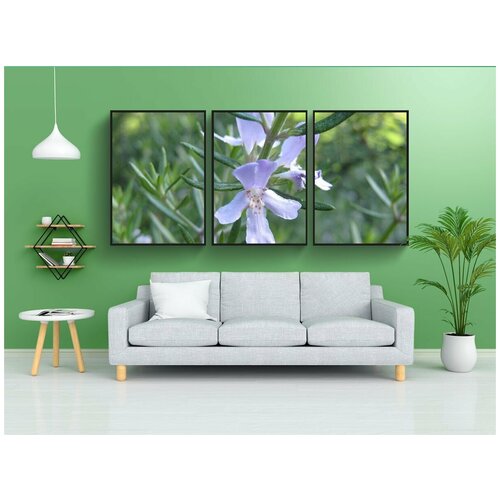 фото Набор модулных постеров для интерьера "розмари, цветок, орнаментальный" 60x90 см. в тубусе, без рамки lotsprints