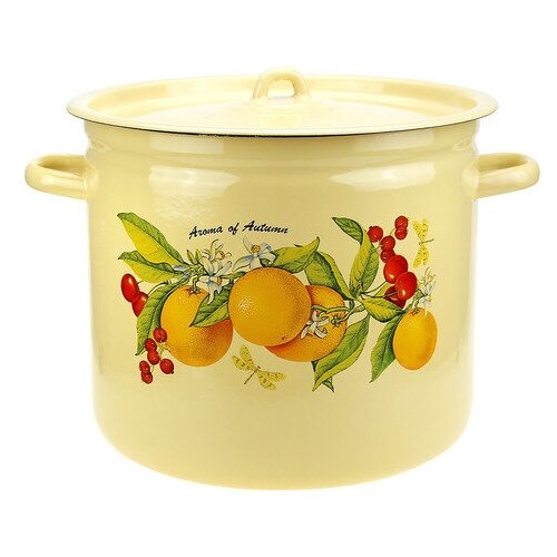 «Фруктовая фантазия» Кастрюля эмалированная 12л, форма цилиндрическая, металлическая крышка, металлические ручки, кремовый (Россия)