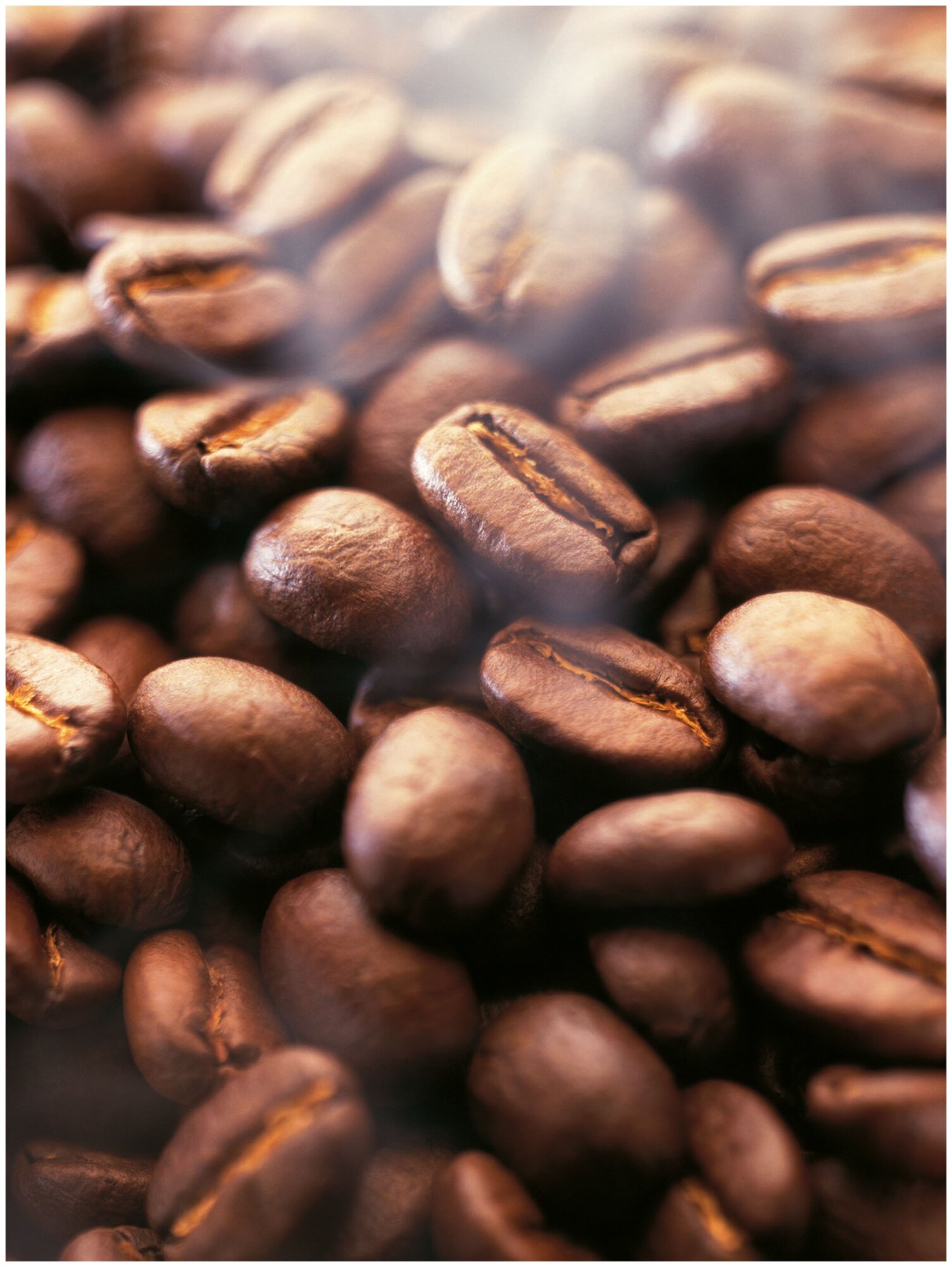 Кофе Tchibo Davidoff Espresso 57 в зернах, 500гр - фото №5