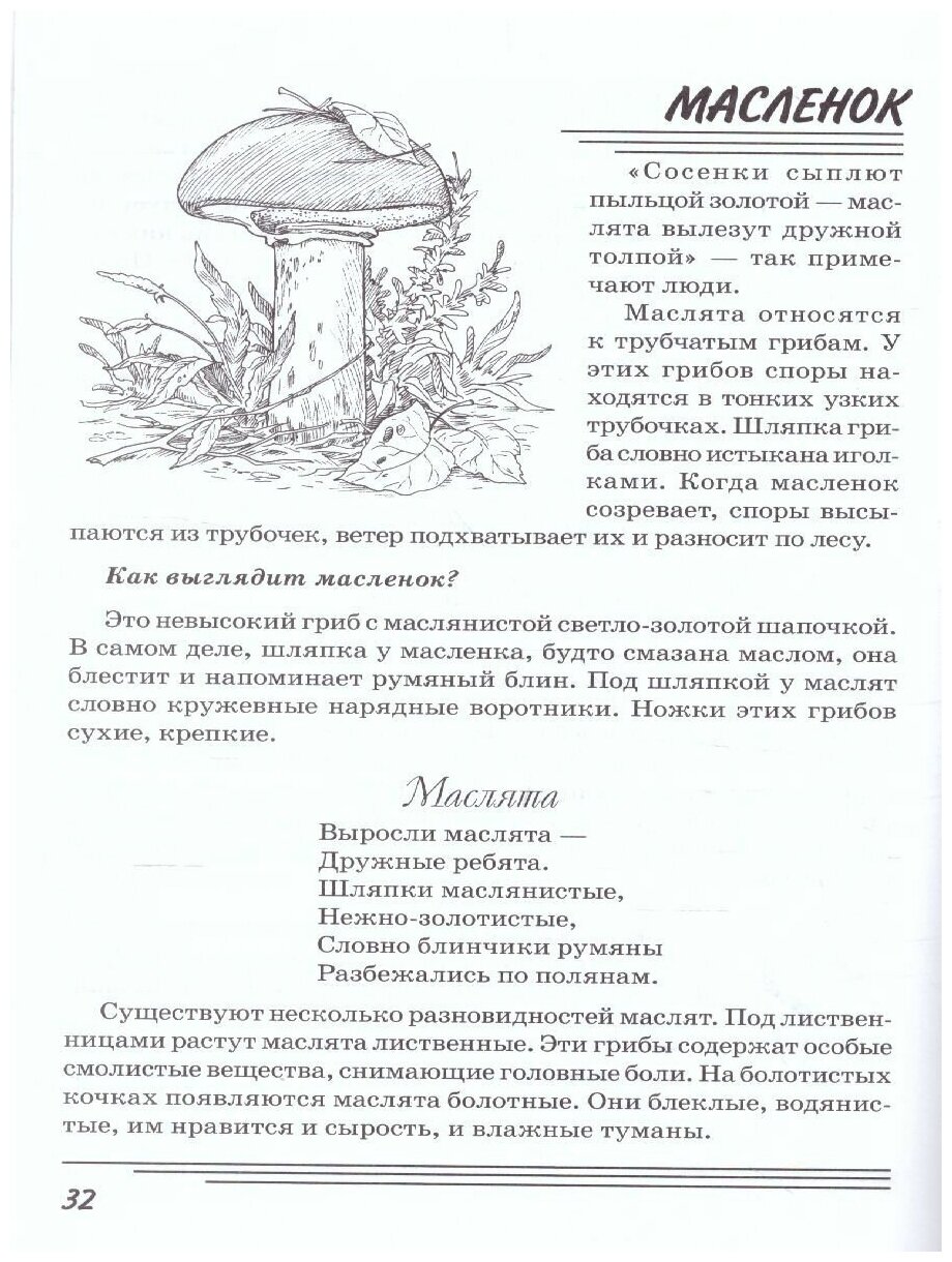Загадки про грибы