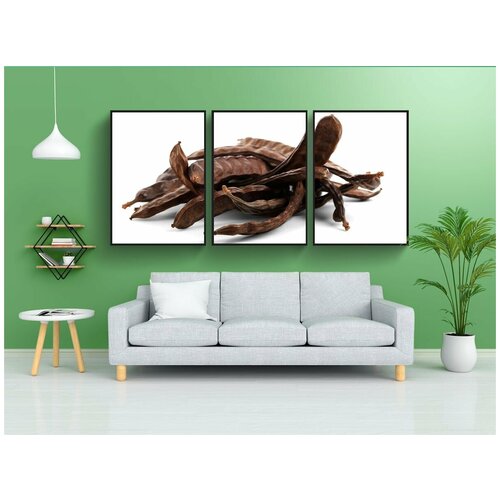 фото Набор модулных постеров для интерьера "фасоль, рожковое дерево, еда" 60x90 см. в тубусе, без рамки lotsprints