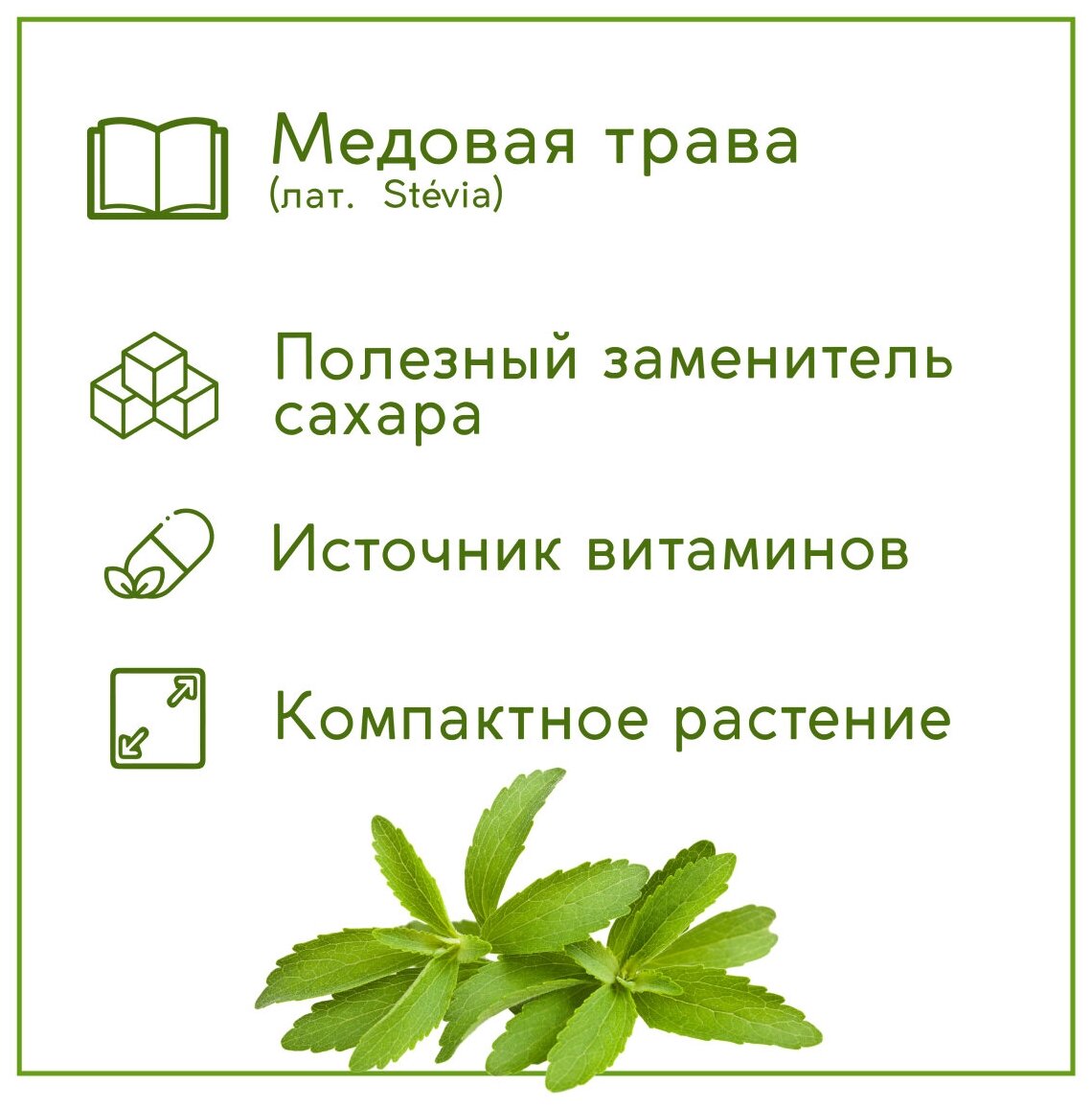 Набор Вырасти дерево - фото №5
