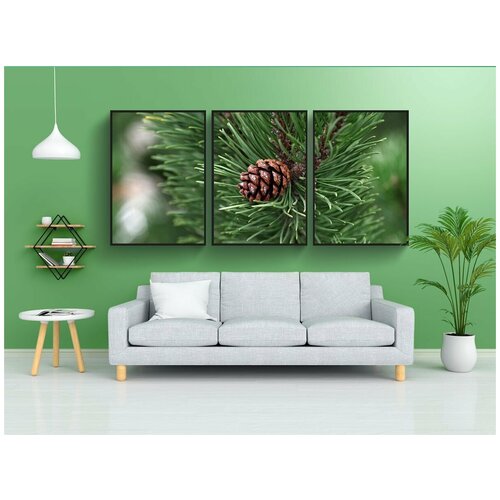 фото Набор модулных постеров для интерьера "сосна, шишка, эфирное" 60x90 см. в тубусе, без рамки lotsprints