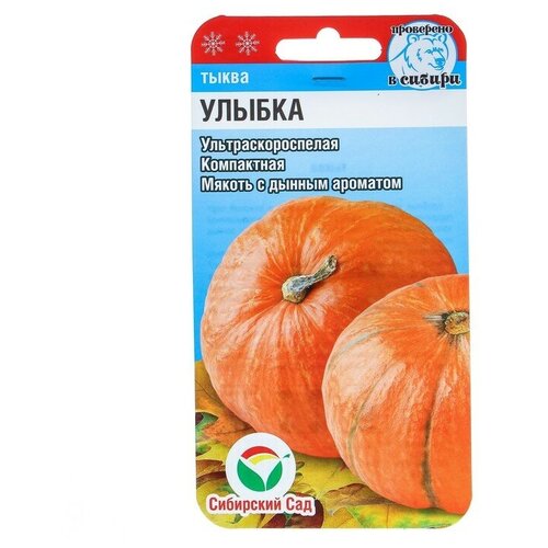 Семена Тыква Улыбка, 5 шт