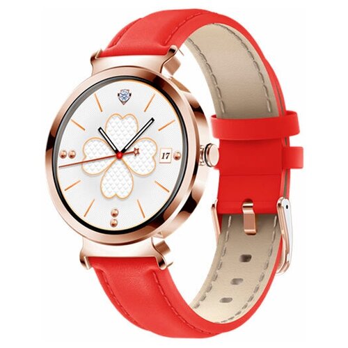 BandRate Smart BRSDT1GR 977500₽