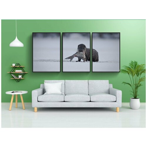 фото Набор модулных постеров для интерьера "снег, зима, холодный" 60x90 см. в тубусе, без рамки lotsprints