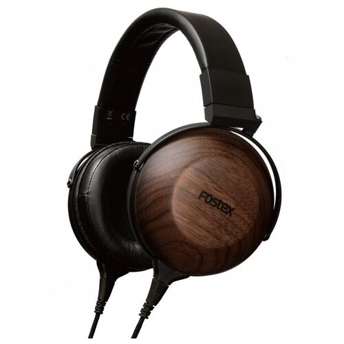 Fostex TH610