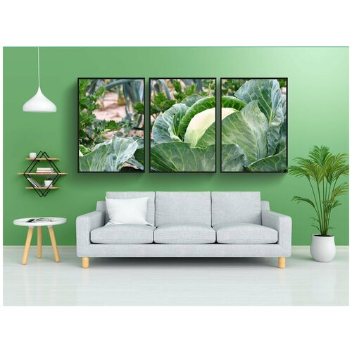 фото Набор модулных постеров для интерьера "капуста, овощи, овощ" 60x90 см. в тубусе, без рамки lotsprints