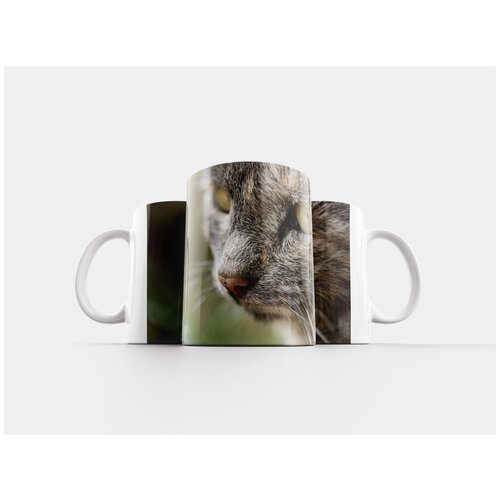 фото Кружка "кошки глаз, посмотреть, портрет животных" 320 мл lotsprints