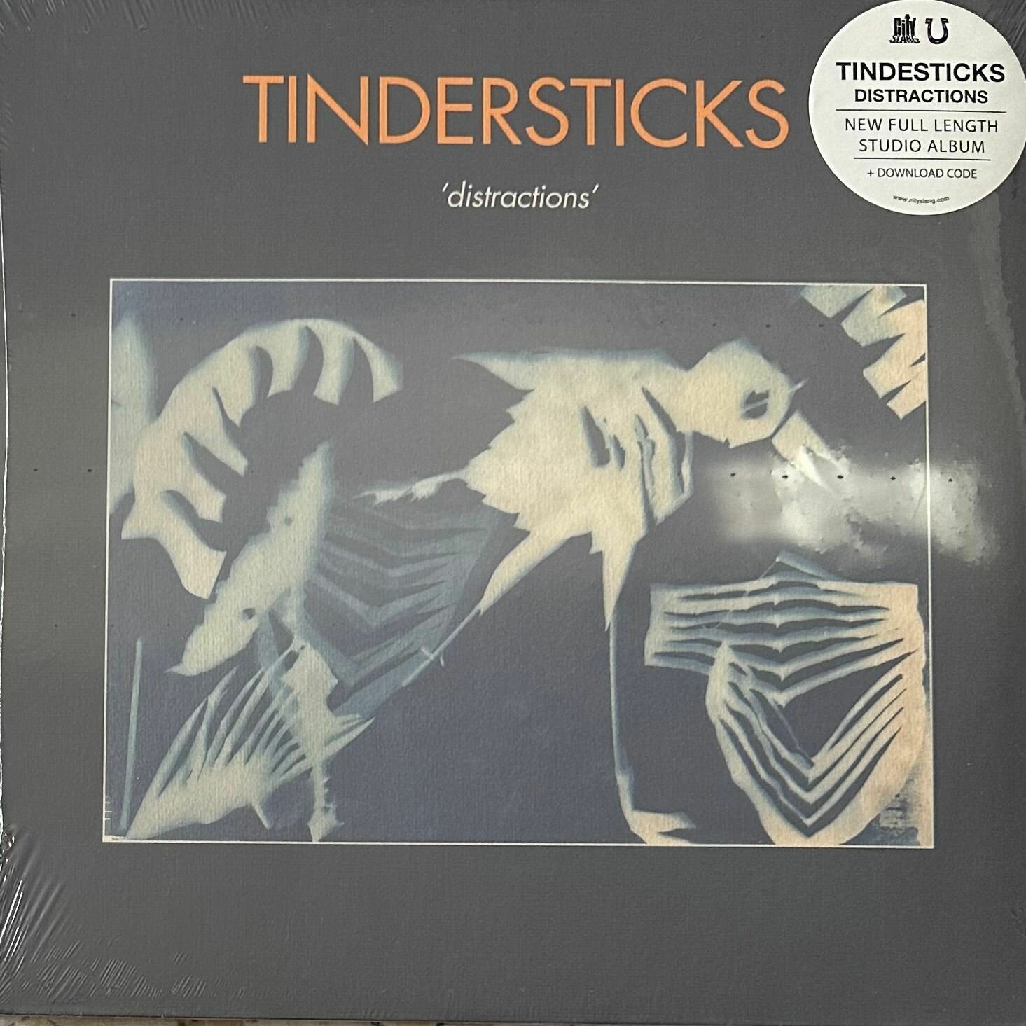 Виниловая пластинка Tindersticks - Distractions (Европа 2021г.)