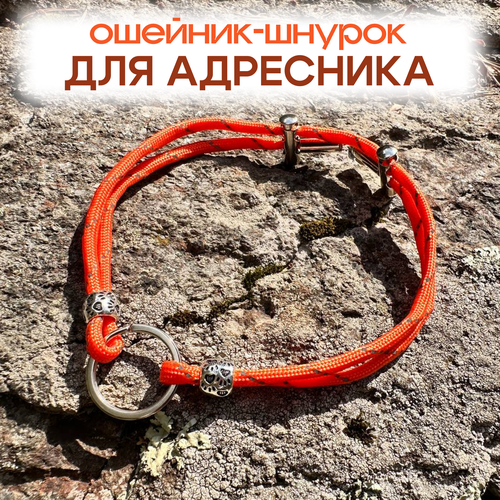 Ошейник-шнурок для адресника светоотражающий из паракорда размер XS 18-28 см, цвет оранжевый