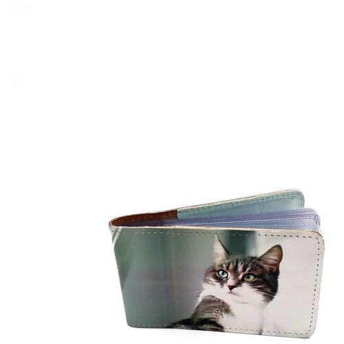 Обложка для визиток, натур. кожа с фотопечатью ,BB1, в подарочной упаковке