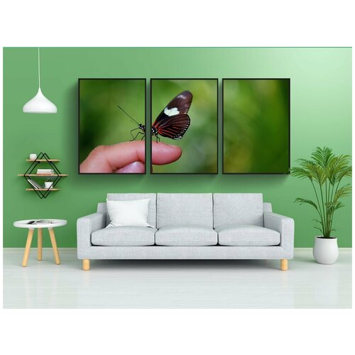 фото Набор модулных постеров для интерьера "papilio rumanzovia, бабочка, животное" 60x90 см. в тубусе, без рамки lotsprints