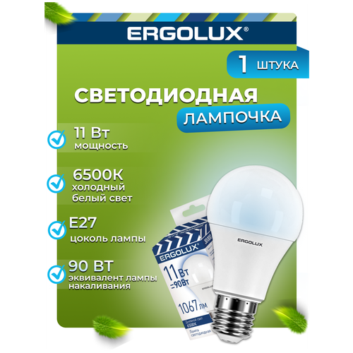 Светодиодная лампа Ergolux LED-A60-11W-E27-6K промо