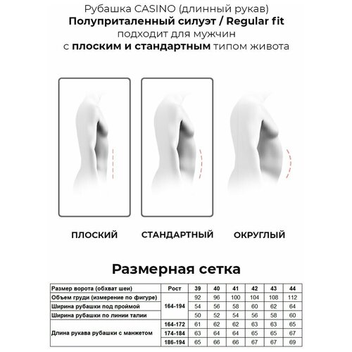 Рубашка мужская длинный рукав CASINO c221/1/932/Z/1, Полуприталенный силуэт / Regular fit, цвет Синий, рост 174-184, размер ворота 39