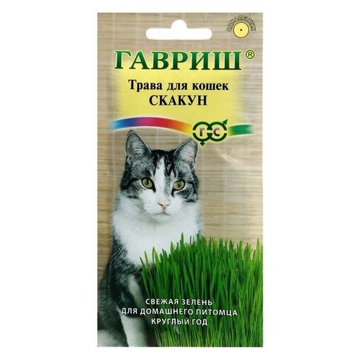 Гавриш Семена Трава для кошек Скакун, 10 г гавриш семена трава для кошек скакун 10 г