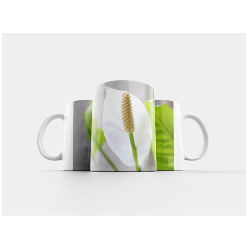 фото Кружка "цветок, зима, индия" 320 мл lotsprints