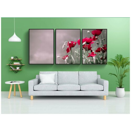 фото Набор модулных постеров для интерьера "маки, цветы, природа" 60x90 см. в тубусе, без рамки lotsprints