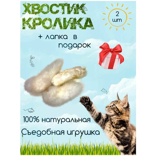 Хвост кролика сушенный 2 шт, натуральная игрушка-лакомство + лапка в подарок, для кошек и собак, ROCKET