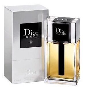 Туалетная вода Christian Dior Dior Homme (2020) 100 мл.