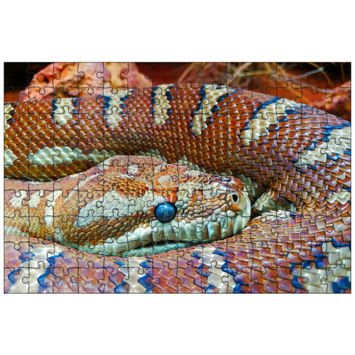 фото Магнитный пазл 27x18см."змея, питон, оранжевый весы" на холодильник lotsprints